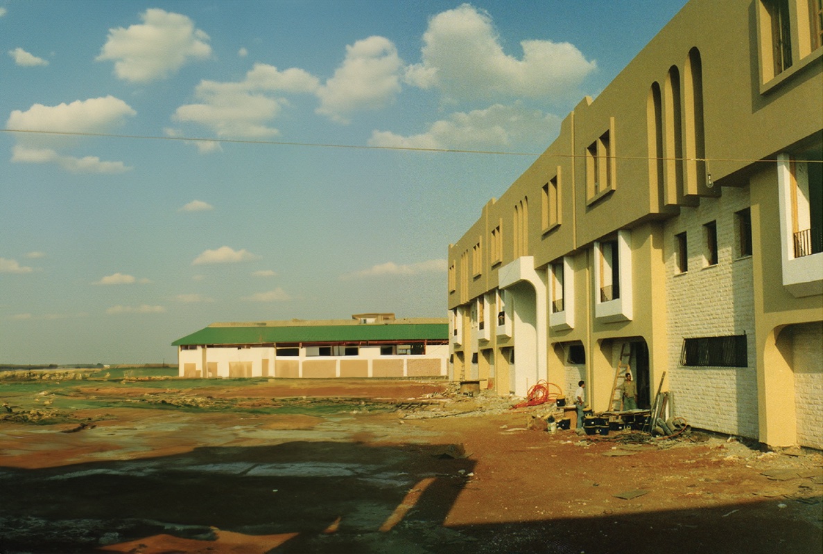 Concrete, Steel & Glass: Choosing the Right Structure for Egypt's Climate